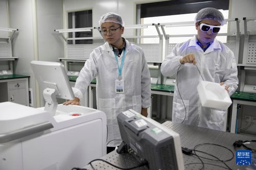 科創故事匯 | 朱銳 點亮OCT技術服務臨床的微光